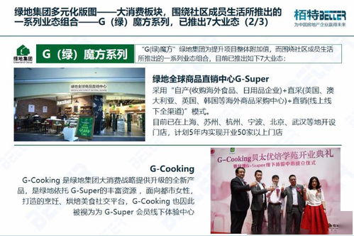 房地产管理咨询 驱动企业多元化战略转型的关键路径研究